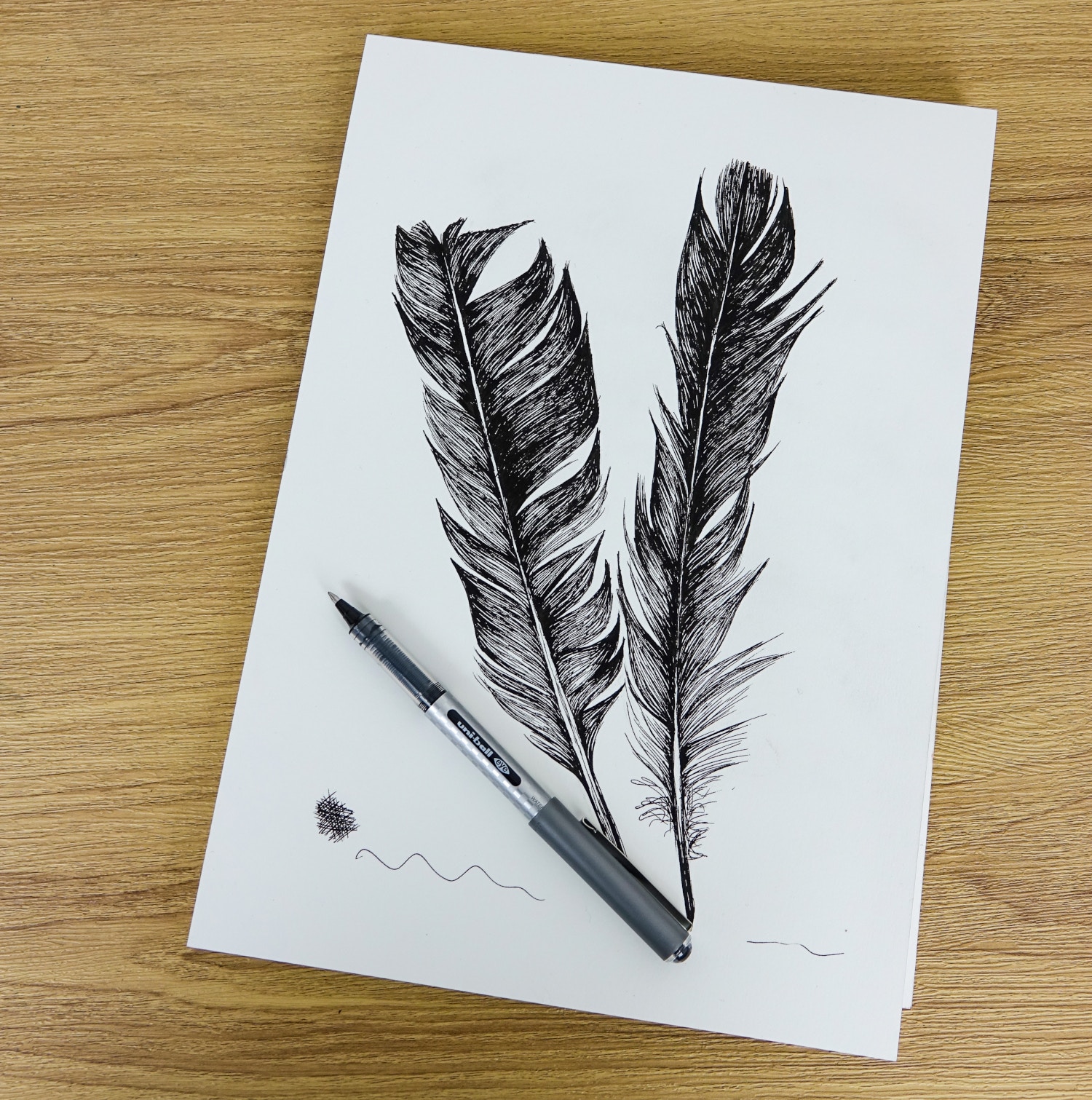 A sketch of two feathers using a Uni-ball Eye Designer pen